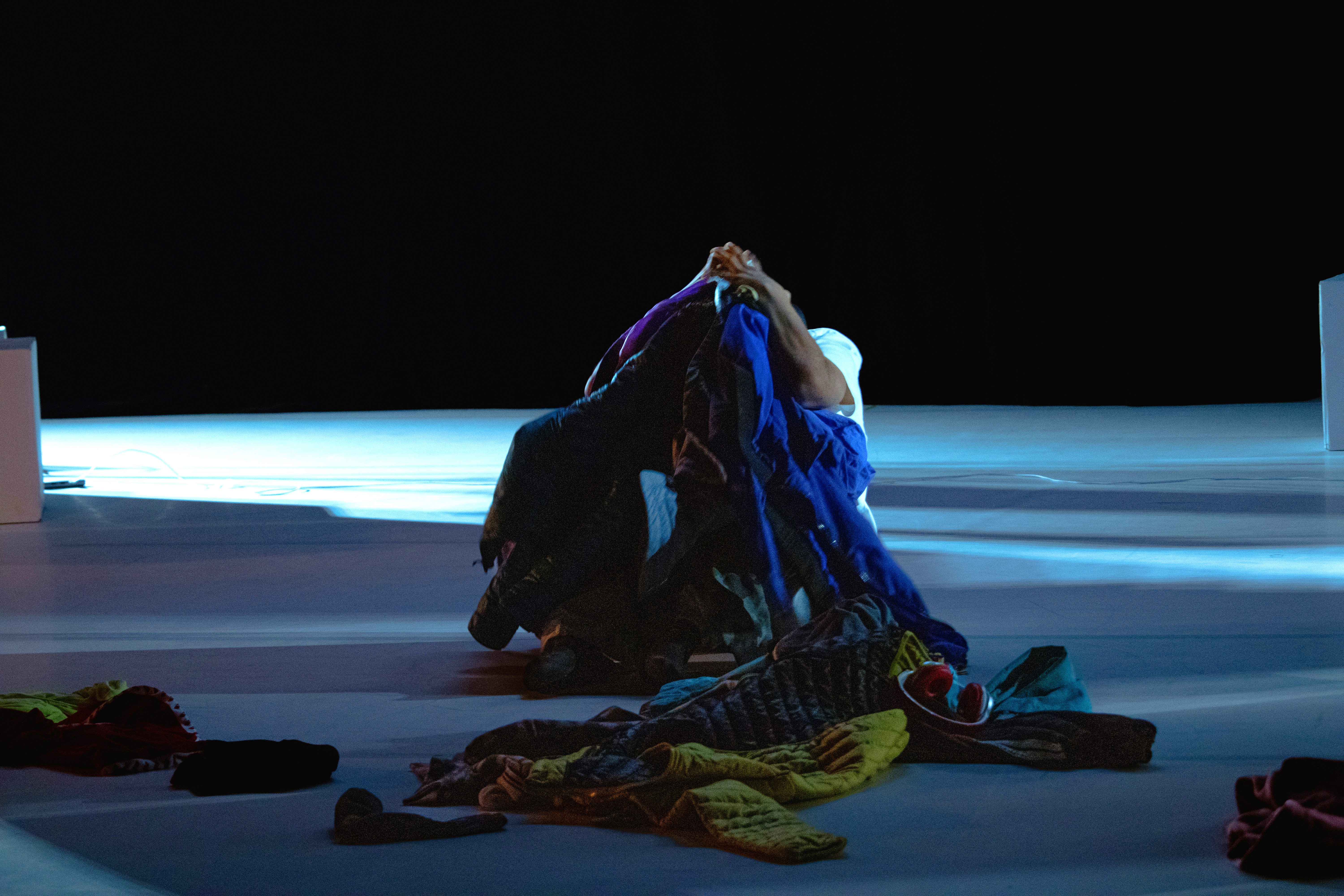 Romeo © Rose Mousselet